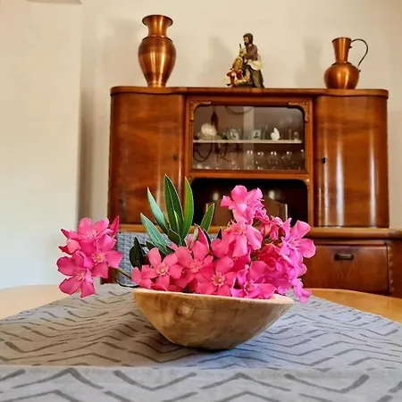 아파트 Dalmatia - In A Small Traditional Village