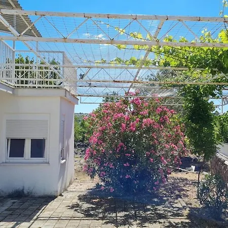 Dalmatia - In A Small Traditional Village Katuni