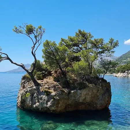아파트 Dalmatia - In A Small Traditional Village
