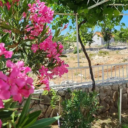 아파트 Dalmatia - In A Small Traditional Village Katuni